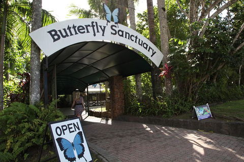 Kuranda Day Trip From Port Douglas Upgrade To Skyrail & Scenic Train Available - Mackay Tourism 0