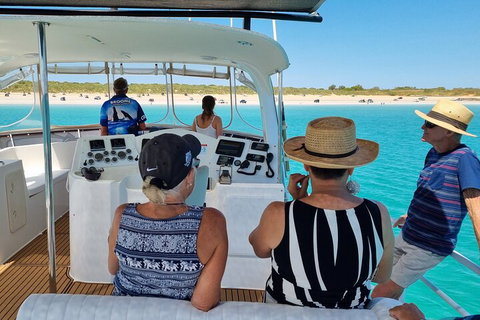 Snubfin Dolphin Eco Cruise From Broome - Mackay Tourism 5