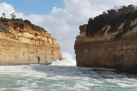 12 Apostles Tour From Warrnambool - Mackay Tourism 2
