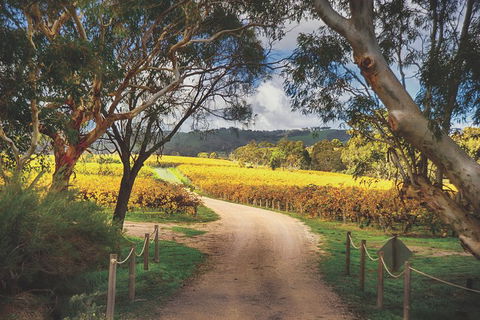 McLaren Vale Winery Small Group Tour With Wine Tasting And Lunch - Mackay Tourism 1