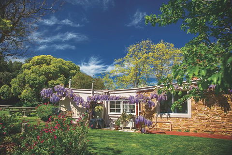 McLaren Vale Winery Small Group Tour With Wine Tasting And Lunch - Mackay Tourism 2