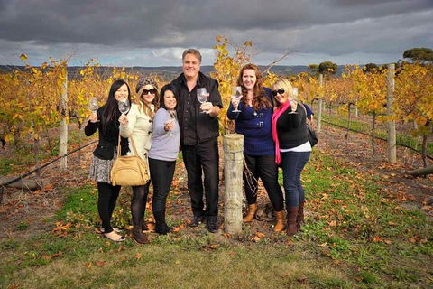 McLaren Vale Winery Small Group Tour With Wine Tasting And Lunch - Mackay Tourism 3