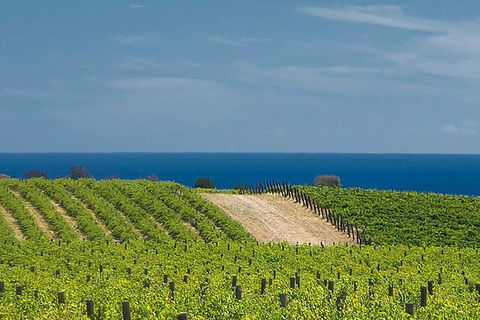 McLaren Vale Winery Small Group Tour With Wine Tasting And Lunch - Mackay Tourism 4