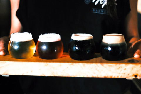 Bar & Brewery Tour - Mackay Tourism 1