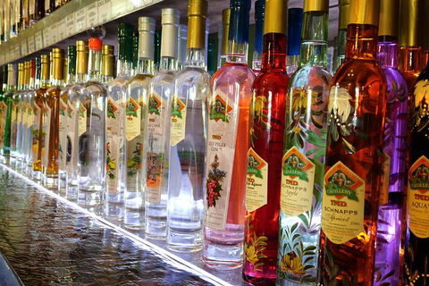 Bar & Brewery Tour - Mackay Tourism 4