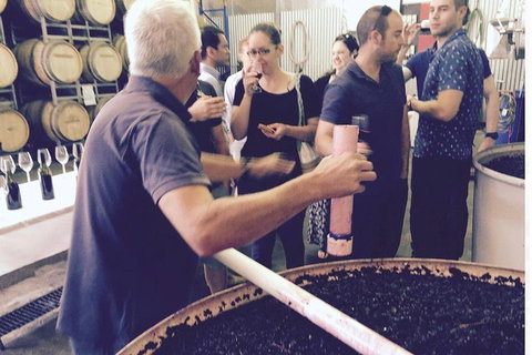 Luxury Private Mclaren Vale Wine Tour - Mackay Tourism 4