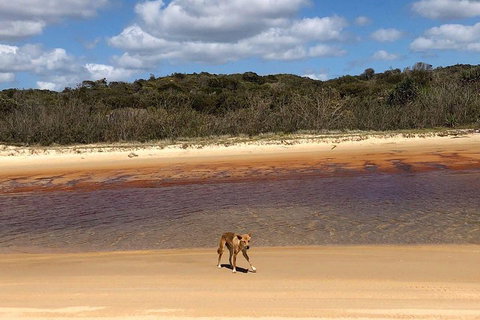 Pippies 3 Days 2 Nights Fraser Island Tour - Mackay Tourism 2