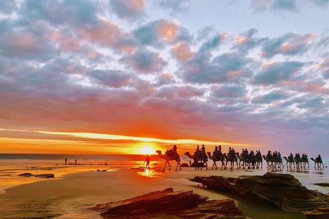 1 Hour Broome Sunset Camel Tour - Mackay Tourism 0