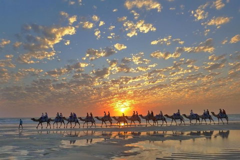 1 Hour Broome Sunset Camel Tour - Mackay Tourism 1