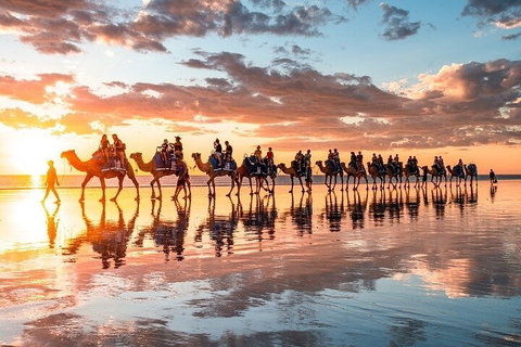 1 Hour Broome Sunset Camel Tour - Mackay Tourism 2