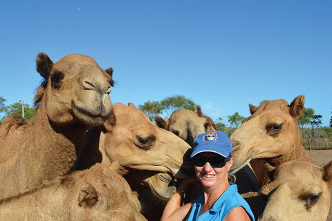 1 Hour Broome Sunset Camel Tour - Mackay Tourism 3