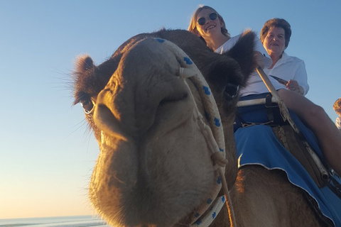 1 Hour Broome Sunset Camel Tour - Mackay Tourism 4