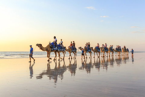 1 Hour Broome Sunset Camel Tour - Mackay Tourism 5