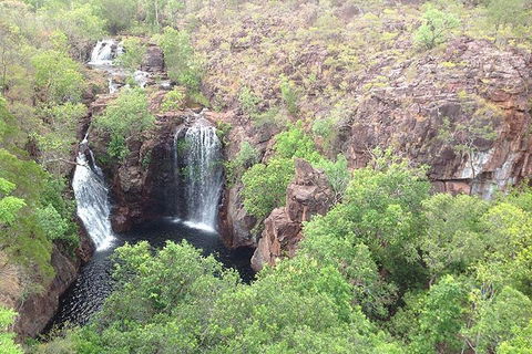 Litchfield National Park And Jumping Crocodile Cruise - Mackay Tourism 4
