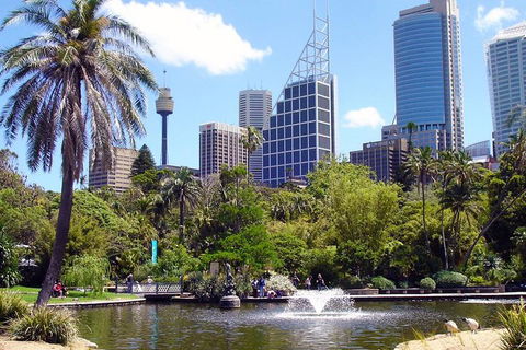 Private Sydney Half Day Tour Including Sydney Opera House And Bondi Beach - Mackay Tourism 4
