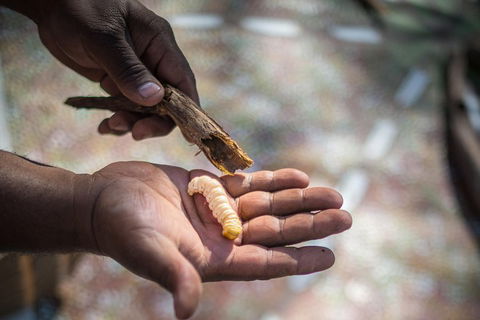Karrke Aboriginal Cultural Experience - Mackay Tourism 3