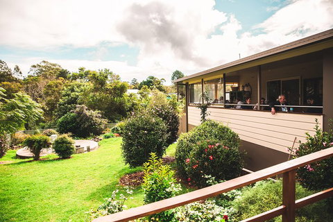 Full-day Springbrook National Park Tour From The Gold Coast - Mackay Tourism 2