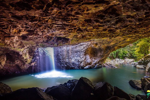 Full-day Springbrook National Park Tour From The Gold Coast - Mackay Tourism 3
