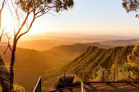 O'Reilly's & Lamington National Park Incl. Alpaca Farm + Vineyard - Mackay Tourism 0