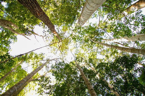Fraser Island 4WD Tour From Noosa - Mackay Tourism 0