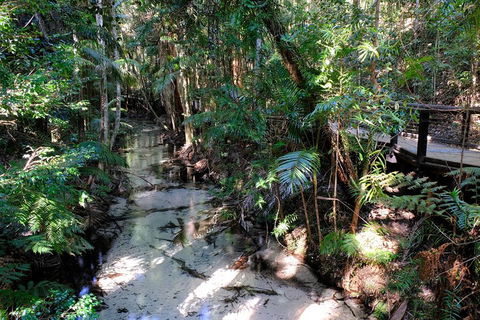 Fraser Island 4WD Tour From Rainbow Beach - Mackay Tourism 0