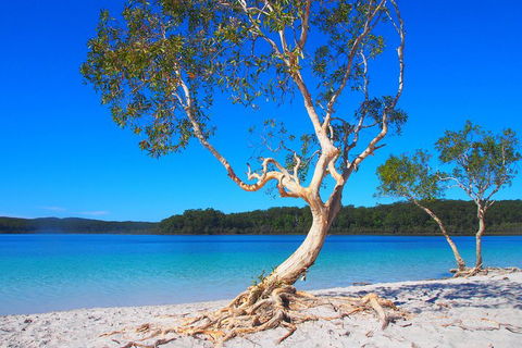 Fraser Island 4WD Tour From Rainbow Beach - Mackay Tourism 5