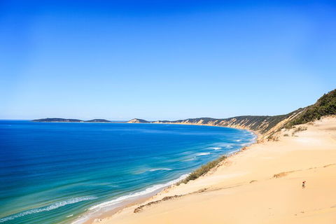 Kayak With Dolphins And 4WD Great Beach Drive Day Trip From Noosa - Mackay Tourism 0