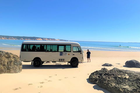 Kayak With Dolphins And 4WD Great Beach Drive Day Trip From Noosa - Mackay Tourism 4