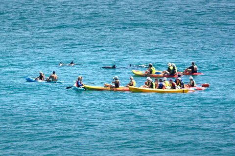 The Byron Bay Sea Kayak Tour - Mackay Tourism 1