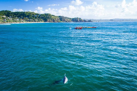 The Byron Bay Sea Kayak Tour - Mackay Tourism 2