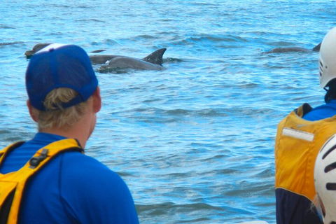 The Byron Bay Sea Kayak Tour - Mackay Tourism 4