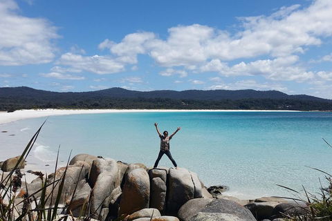 Tasmania 4 Day East Coast + Launceston - Mackay Tourism 1