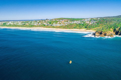 2-Hour Guided Whale Watching Tour At Noosa - Mackay Tourism 4