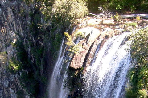 Byron Bay Combo: Hinterland Tour Including Minyon Falls And Kayaking With Dolphins - Mackay Tourism 3