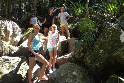 Byron Bay Combo: Hinterland Tour Including Minyon Falls And Kayaking With Dolphins - Mackay Tourism 4