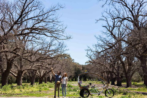 Adelaide 90-Minute Pedicab Tour: Scenic Green & River Experience - Mackay Tourism 1