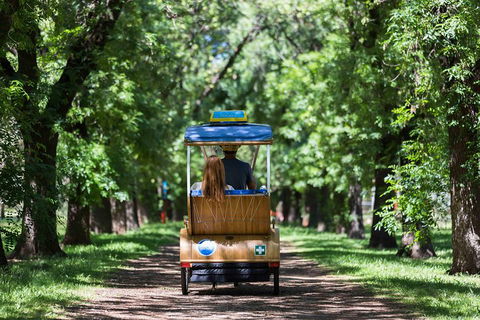 Adelaide 90-Minute Pedicab Tour: Scenic Green & River Experience - Mackay Tourism 2