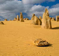 The Pinnacles Sea and Dunescapes Bush Reserve and Sunset Day Tour - Mackay Tourism