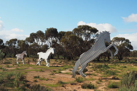 Wave Rock, Wild Flowers And Astro Photography - Mackay Tourism 5