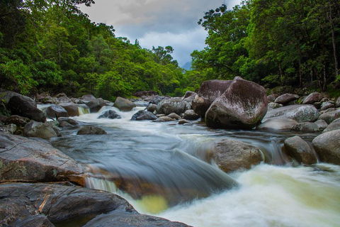 Cape Tribulation Day Tour - Mackay Tourism 0