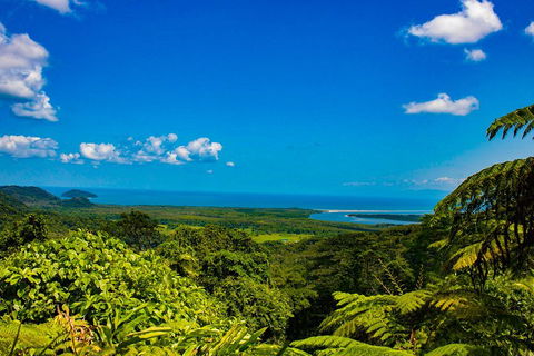 Cape Tribulation Day Tour - Mackay Tourism 3
