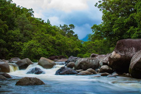 Cape Tribulation Day Tour - Mackay Tourism 4