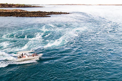 Giant Tides Tour - Cygnet Bay Pearl Farm - Mackay Tourism 4