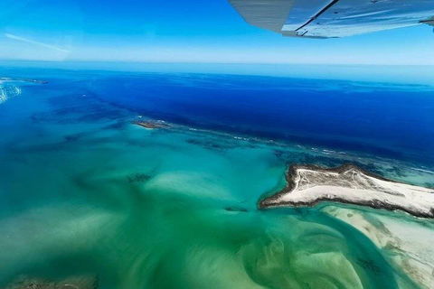 Wet Season Incredible Islands Tour - Horizontal Falls & Cygnet Bay Pearl Farm - Mackay Tourism 4