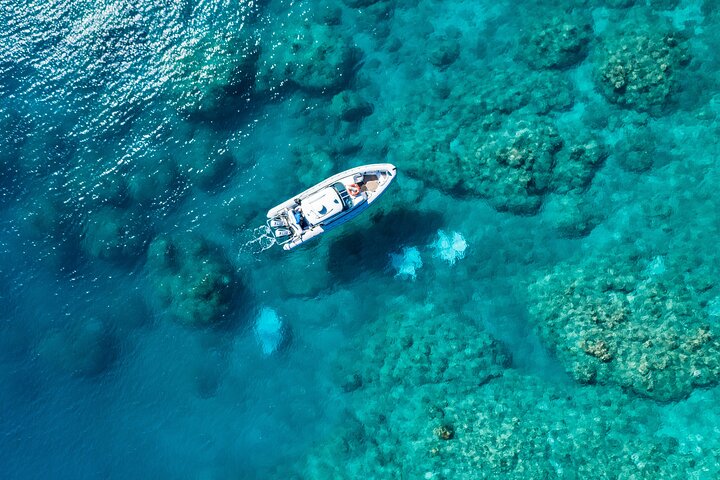 Hamilton Island QLD Mackay Tourism