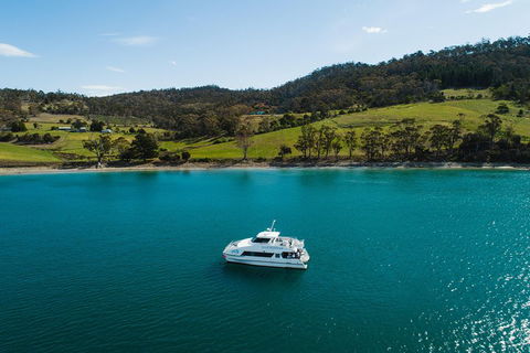 Deep-to-Dish: Tasmanian Seafood Experience - Mackay Tourism 0