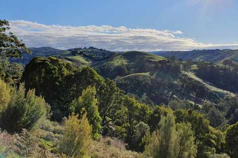 3-Day Adelaide To Melbourne Tour Including The Great Ocean Road - Mackay Tourism 5