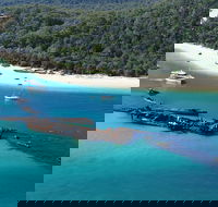 All Inclusive Tangalooma Wrecks Cruise Tour From Gold Coast - Mackay Tourism