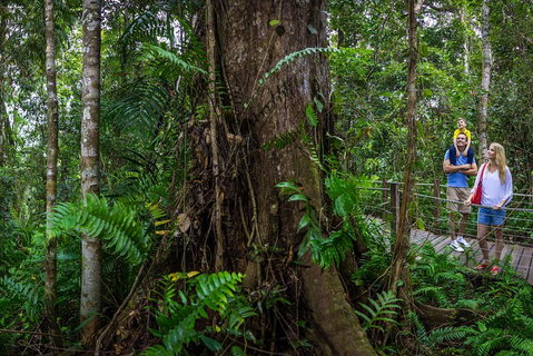 Kuranda Day Tour + HotAir Balloon Combo - Mackay Tourism 3