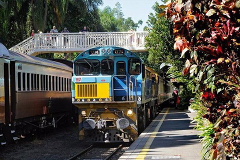 Kuranda Day Tour + HotAir Balloon Combo - Mackay Tourism 4
